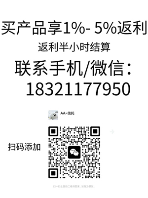 四川达州市达川区政府投资2024年债权资产项目城投债定融