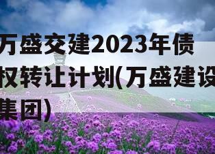 万盛交建2023年债权转让计划(万盛建设集团)