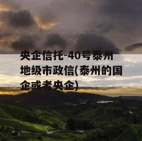 央企信托-40号泰州地级市政信(泰州的国企或者央企)