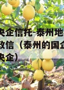 大央企信托-泰州地级市政信（泰州的国企或者央企）