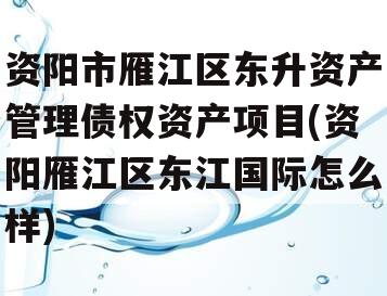 资阳市雁江区东升资产管理债权资产项目(资阳雁江区东江国际怎么样)