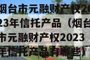 烟台市元融财产权2023年信托产品（烟台市元融财产权2023年信托产品有哪些）