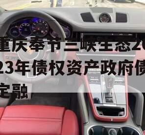 重庆奉节三峡生态2023年债权资产政府债定融