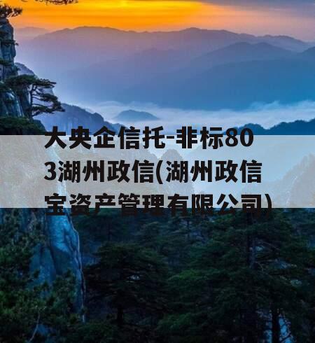 大央企信托-非标803湖州政信(湖州政信宝资产管理有限公司)