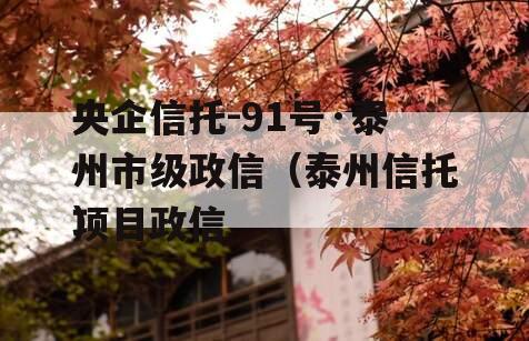 央企信托-91号·泰州市级政信（泰州信托项目政信
）