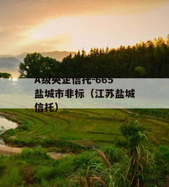 A级央企信托-665盐城市非标（江苏盐城信托）