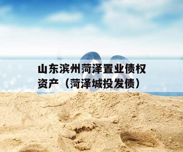 山东滨州菏泽置业债权资产（菏泽城投发债）