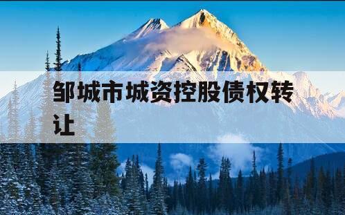 邹城市城资控股债权转让