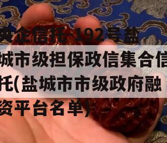 央企信托-192号盐城市级担保政信集合信托(盐城市市级政府融资平台名单)