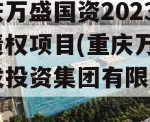 重庆万盛国资2023年债权项目(重庆万盛开发投资集团有限公司)