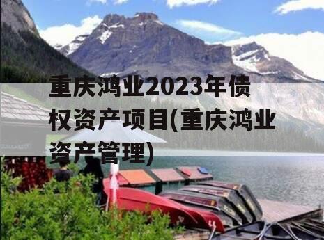 重庆鸿业2023年债权资产项目(重庆鸿业资产管理)
