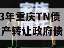2023年重庆TN债权资产转让政府债定融
