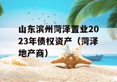 山东滨州菏泽置业2023年债权资产（菏泽地产商）