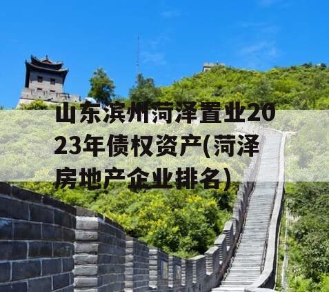 山东滨州菏泽置业2023年债权资产(菏泽房地产企业排名)