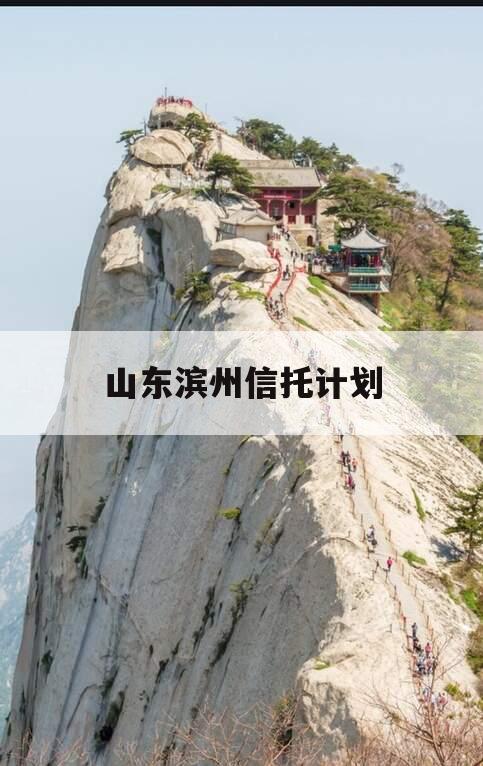 山东滨州信托计划