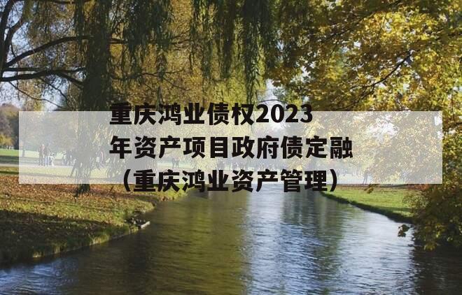 重庆鸿业债权2023年资产项目政府债定融（重庆鸿业资产管理）