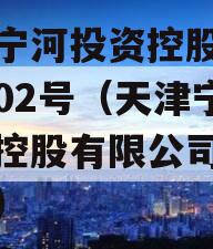 天津宁河投资控股债权拍卖02号（天津宁河投资控股有限公司薪酬标准）