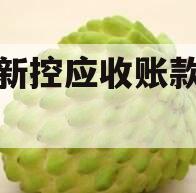 咸阳新控应收账款债权转让