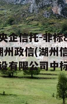 大央企信托-非标803湖州政信(湖州信策建设有限公司中标)