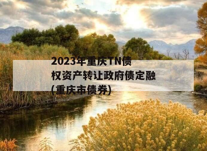 2023年重庆TN债权资产转让政府债定融(重庆市债券)