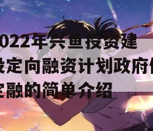 2022年兴鱼投资建设定向融资计划政府债定融的简单介绍
