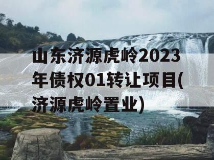 山东济源虎岭2023年债权01转让项目(济源虎岭置业)