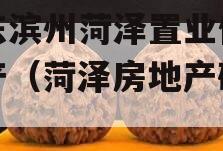 山东滨州菏泽置业债权资产（菏泽房地产破产）
