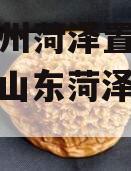 山东滨州菏泽置业债权资产（山东菏泽房地产公司）