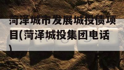 菏泽城市发展城投债项目(菏泽城投集团电话)