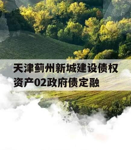 天津蓟州新城建设债权资产02政府债定融
