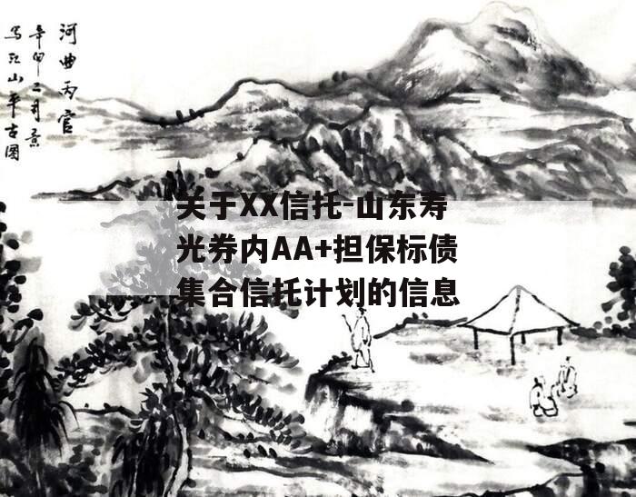 关于XX信托-山东寿光券内AA+担保标债集合信托计划的信息