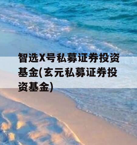 智选X号私募证券投资基金(玄元私募证券投资基金)