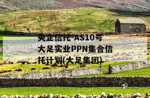 央企信托-AS10号大足实业PPN集合信托计划(大足集团)