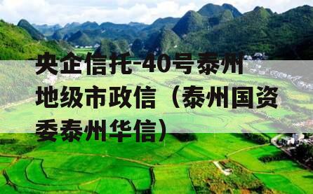 央企信托-40号泰州地级市政信（泰州国资委泰州华信）