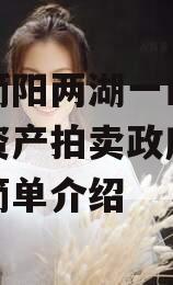 四川简阳两湖一山投资债权资产拍卖政府债定融的简单介绍