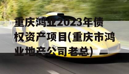 重庆鸿业2023年债权资产项目(重庆市鸿业地产公司老总)