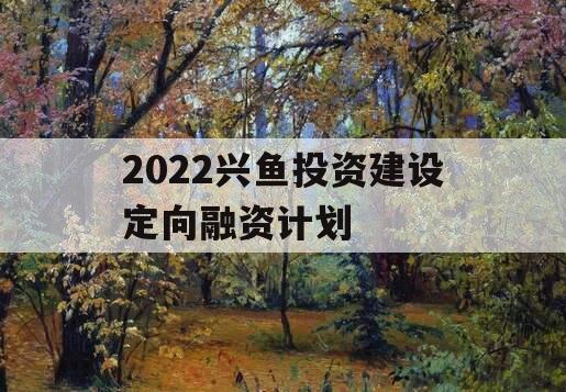 2022兴鱼投资建设定向融资计划