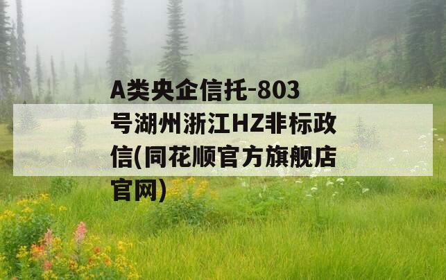 A类央企信托-803号湖州浙江HZ非标政信(同花顺官方旗舰店官网)