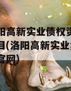 洛阳高新实业债权资产项目(洛阳高新实业集团官网)