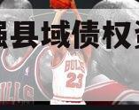 成都强县域债权资产项目