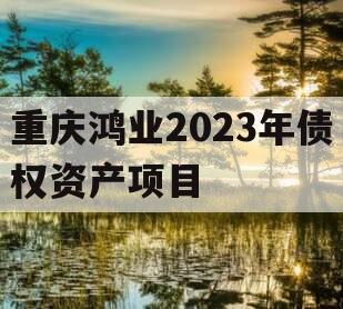 重庆鸿业2023年债权资产项目