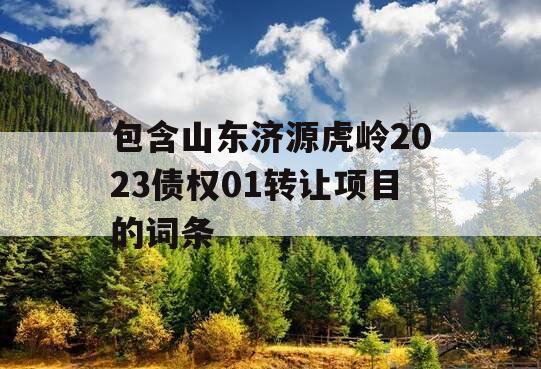 包含山东济源虎岭2023债权01转让项目的词条