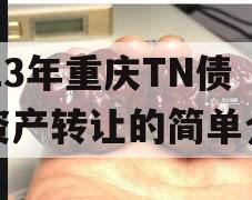 2023年重庆TN债权资产转让的简单介绍