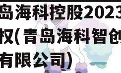 青岛海科控股2023债权(青岛海科智创置业有限公司)