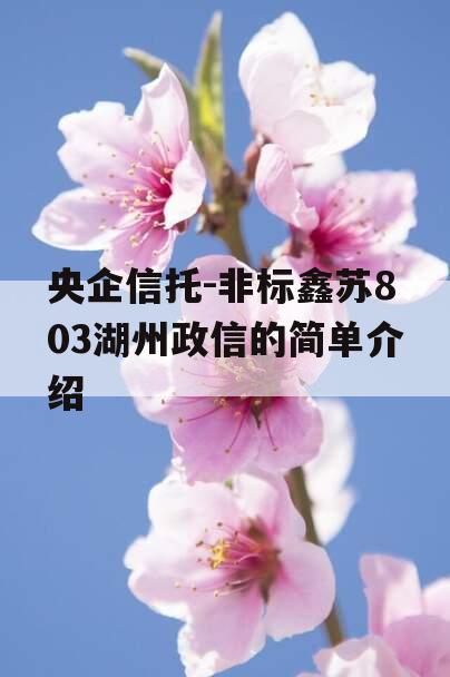 央企信托-非标鑫苏803湖州政信的简单介绍