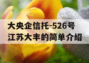 大央企信托-526号江苏大丰的简单介绍