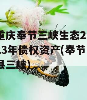 重庆奉节三峡生态2023年债权资产(奉节县三峡)