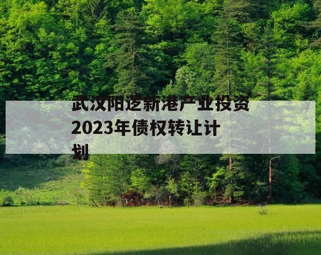 武汉阳逻新港产业投资2023年债权转让计划