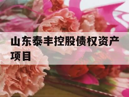 山东泰丰控股债权资产项目
