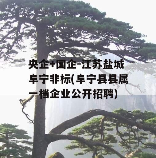 央企+国企-江苏盐城阜宁非标(阜宁县县属一档企业公开招聘)